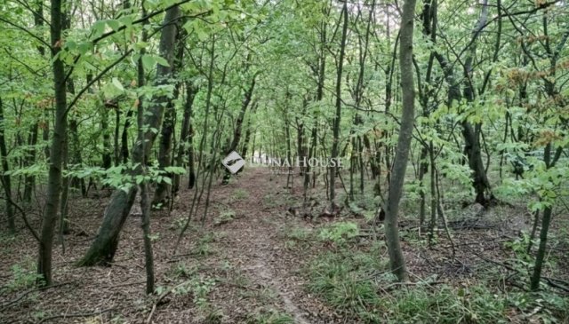 Eladó telek, Alcsútdobozon 25 M Ft / költözzbe.hu
