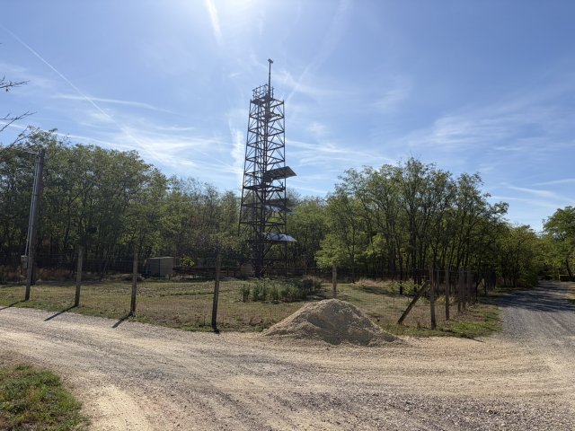 Eladó mezogazdasagi ingatlan, Sótonyon 63.5 M Ft