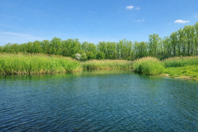 Eladó telek, Répcelakon 37.125 M Ft / költözzbe.hu