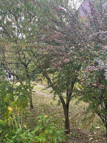 Eladó nyaraló, Harkányban 34.9 M Ft, 4 szobás