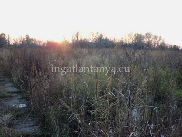 Eladó telek, Budapesten, XXIII. kerületben 31 M Ft