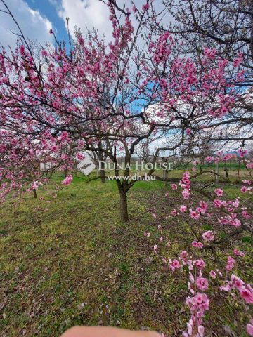 Eladó nyaraló, Gárdonyban 34.9 M Ft / költözzbe.hu