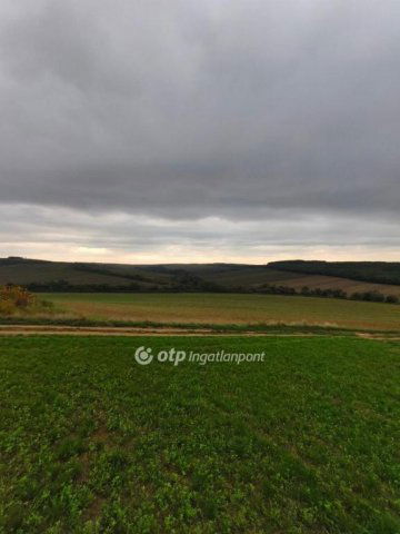 Eladó mezogazdasagi ingatlan, Homrogdon 21.5 M Ft