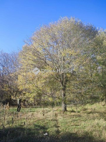 Eladó telek, Nyáregyházán 15 M Ft / költözzbe.hu