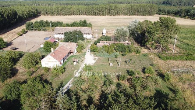 Eladó mezogazdasagi ingatlan, Debrecenben 195 M Ft