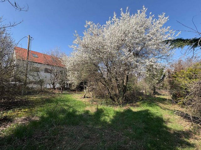 Eladó telek, Budakalászon 82 M Ft / költözzbe.hu