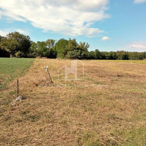 Eladó telek, Csajágon 6.99 M Ft / költözzbe.hu