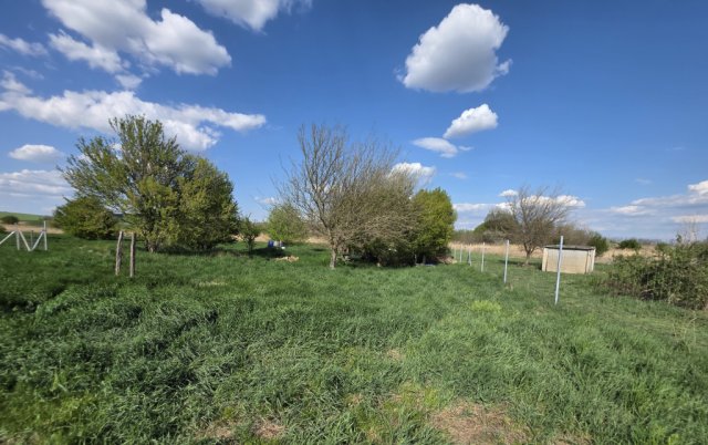 Eladó telek, Velencén 124.99 M Ft / költözzbe.hu