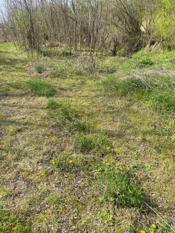 Eladó telek, Zalabéren 2.5 M Ft / költözzbe.hu