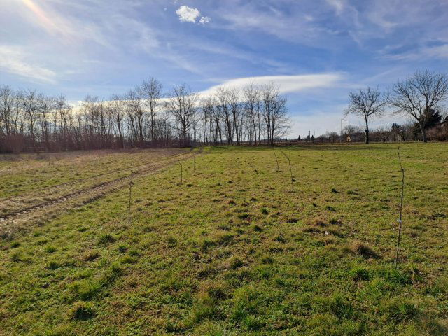 Eladó telek, Vasszécsenyen 8.8 M Ft / költözzbe.hu