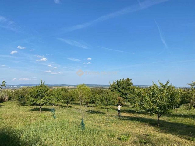 Eladó telek, Etyeken 49 M Ft / költözzbe.hu