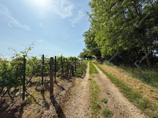 Eladó telek, Boncodföldén 0.85 M Ft / költözzbe.hu