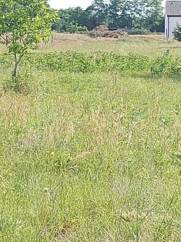 Eladó telek, Győrszemerén 20 M Ft / költözzbe.hu