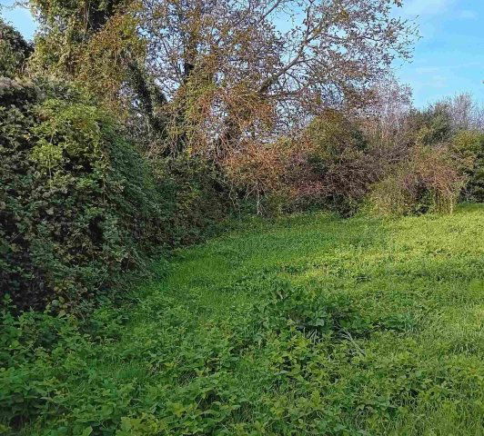 Eladó telek, Zalaszántón 2.99 M Ft / költözzbe.hu