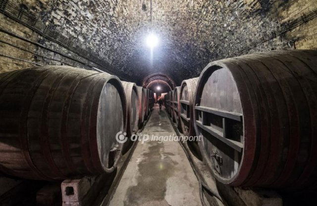 Eladó telek, Badacsonytördemicen 900 M Ft / költözzbe.hu