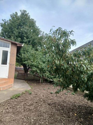 Eladó családi ház, Nagyhegyesen 47.9 M Ft, 2 szobás