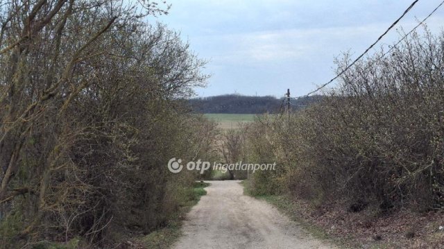 Eladó telek, Baracskán 13.5 M Ft / költözzbe.hu