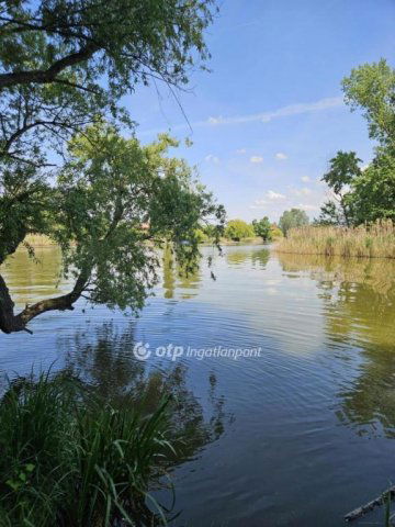 Eladó nyaraló, Dunaharasztin 57.9 M Ft, 1+1 szobás