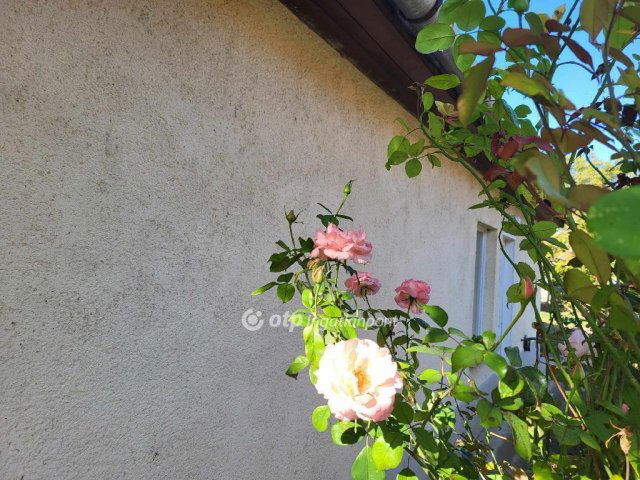 Eladó családi ház, Jánoshidán 9.5 M Ft, 2+1 szobás