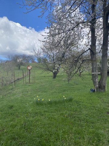 Eladó nyaraló, Vértesszőlősön 8.99 M Ft, 2 szobás