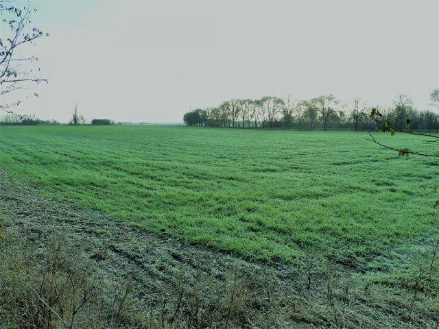 Eladó ipari ingatlan, Kecskeméten 61 M Ft / költözzbe.hu