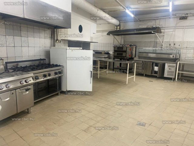 Kiadó családi ház, albérlet, Budapesten, XIII. kerületben