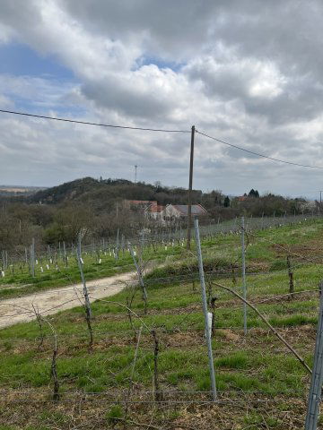 Eladó mezogazdasagi ingatlan, Villányban 14.73 M Ft