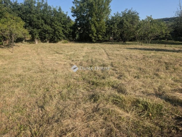 Eladó telek, Ajkán 12.9 M Ft / költözzbe.hu