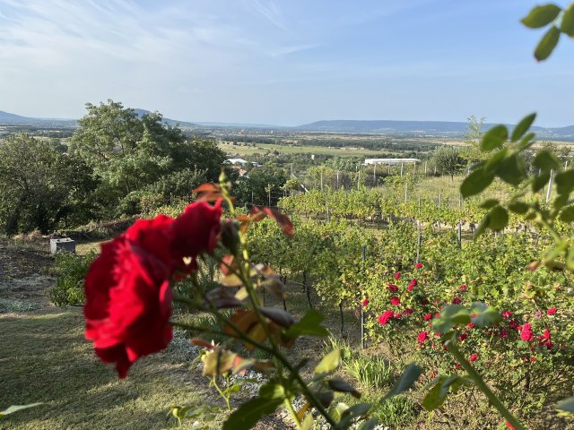 Eladó nyaraló, Zalahalápon 24.9 M Ft, 1 szobás