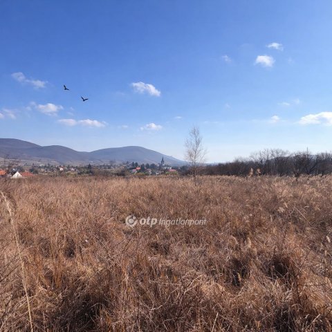 Eladó családi ház, Erdőbényén 15.9 M Ft, 3 szobás