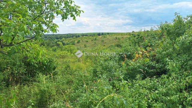 Eladó telek, Egerben 1.5 M Ft / költözzbe.hu