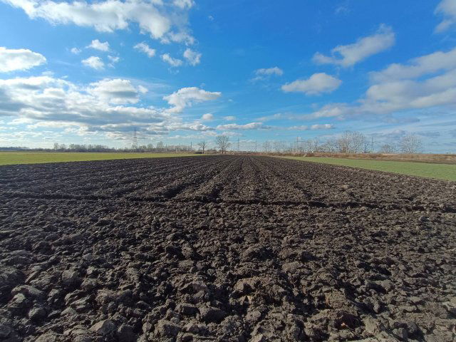 Eladó mezogazdasagi ingatlan, Délegyházán 45.9 M Ft