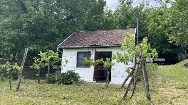 Eladó mezogazdasagi ingatlan, Szekszárdon 8.3 M Ft, 1 szobás