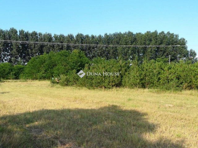 Eladó mezogazdasagi ingatlan, Tiszaalpáron 12.5 M Ft, 1 szobás