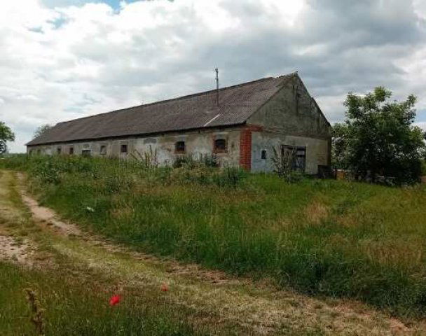 Eladó mezogazdasagi ingatlan, Zamárdiban 45 M Ft, 1 szobás