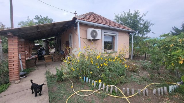 Eladó mezogazdasagi ingatlan, Kiskunfélegyházán 11.9 M Ft