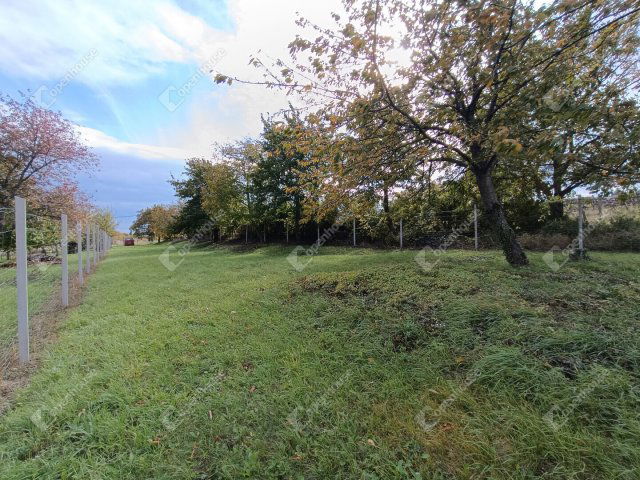 Eladó telek, Sopronban 11.9 M Ft / költözzbe.hu