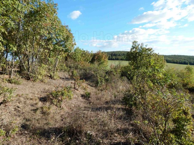 Eladó mezogazdasagi ingatlan, Balatonszőlősön 17.4 M Ft