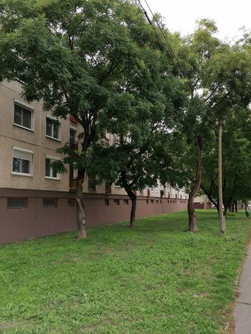 Eladó panellakás, Budapesten, XV. kerületben 69.5 M Ft, 3 szobás
