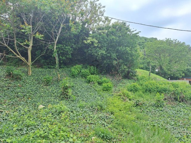 Eladó telek, Érden, Kastély utcában 19.9 M Ft