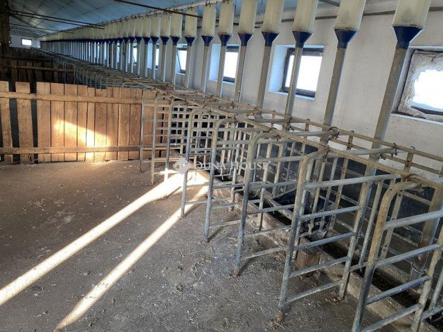 Eladó ipari ingatlan, Ozorán 350 M Ft / költözzbe.hu