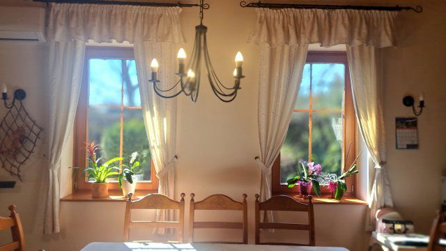 Eladó mezogazdasagi ingatlan, Gyulán 123.9 M Ft