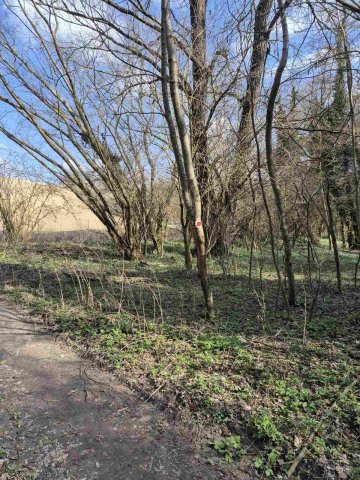 Eladó telek, Zalacsányon 25 M Ft / költözzbe.hu