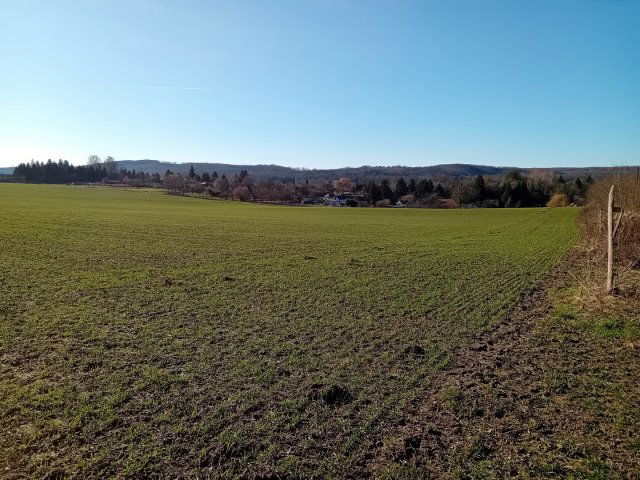 Eladó mezogazdasagi ingatlan, Kisbucsán 4 M Ft