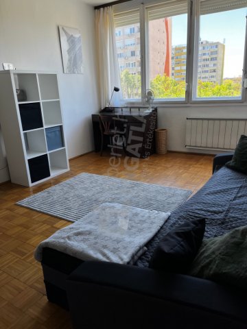 Kiadó panellakás, albérlet, XIV. kerületben, Pillangó parkban