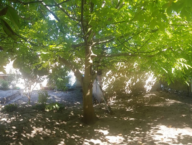 Eladó telek, Szekszárdon, Bezerédj utcában 20 M Ft