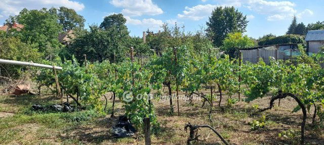 Eladó családi ház, Tompán 14.9 M Ft, 4 szobás