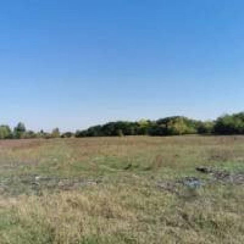 Eladó mezogazdasagi ingatlan, Monoron 20.9 M Ft