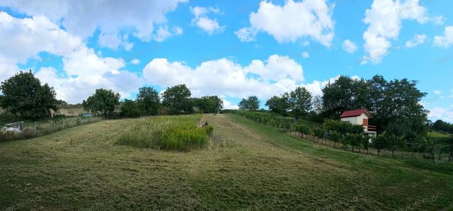 Eladó mezogazdasagi ingatlan, Ravazdon 6.5 M Ft