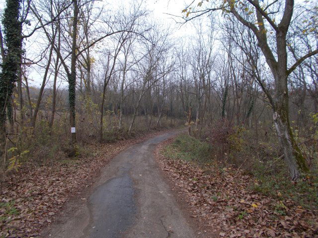 Eladó mezogazdasagi ingatlan, Ságváron 78 M Ft